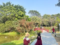 -东莞植物园