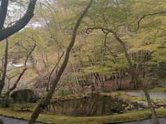 -醍醐寺