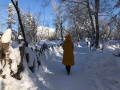 -凤凰山国家森林公园