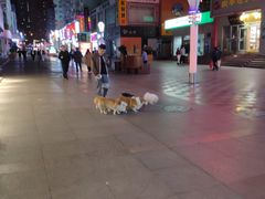 -朱記糯米蛋糕(千川百货店)