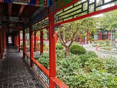 -有喜胶东小馆(超极合生汇太申祥和店)