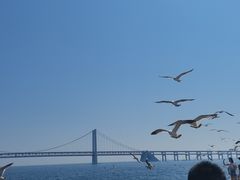 -星海广场