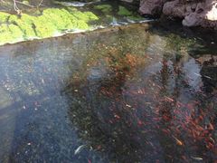 -水磨沟公园