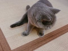 -第三空间·趣味桌游·轰趴.室内CS.剧本杀(大武汉1911店)