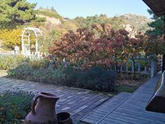-云峰山自然风景区