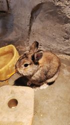 -Zoolung Zoolung动物主题公园(海信广场店)