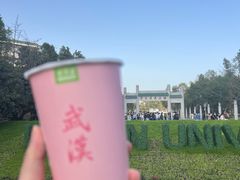-武汉大学-樱园