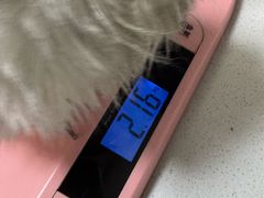 -阿荣24H宠物医院·综合型转诊中心·CT·核磁影像中心
