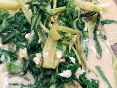 椒丝腐乳通菜-贞姨美食·老字号海鲜大排档
