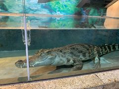 -成都浩海立方海洋公园