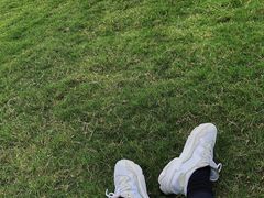 -上海美帆帆船露营基地