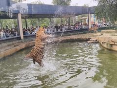 -泉城欧乐堡梦幻世界