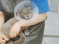 -宠福鑫康馨动物医院·骨科·眼科