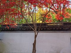 -秋霞圃