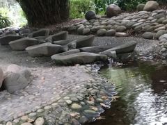-成都市活水公园
