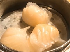 -金凯旋宫