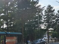 -长春市南湖公园