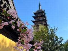 -常熟方塔园
