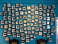 -神户六甲牧场(北野本店)