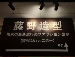 -藤野造型