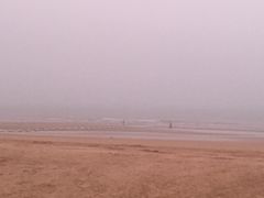 -日照海滨国家森林公园