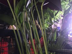 -老地方猫儿面(磁器口店)