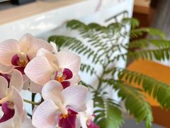-LAB COFFEE来杯咖啡(浦仓路店)