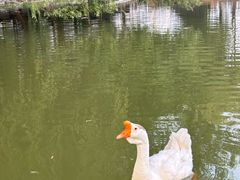 -蓝地时尚庄园(北京清河营地铁站店)