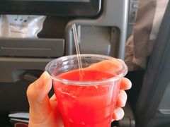-新加坡航空公司(ION)