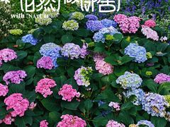 -云溪植物园