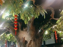 -易老九江湖菜(北滨一路店)