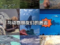 -珠海长隆海洋王国