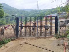 -泉州海丝野生动物世界