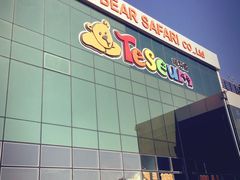 -济州岛泰迪熊博物馆