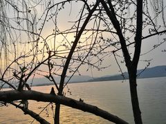 -重庆彩云湖湿地公园