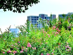 -上海山野camping·户外天幕烧烤·团建拓展营地