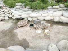 -南宫五洲植物乐园