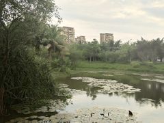 -白沙门生态公园