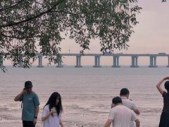 -宝安西湾红树林湿地公园