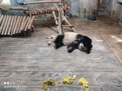 -深圳野生动物园
