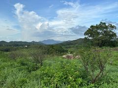 -马峦山郊野公园