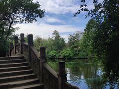 -桂湖森林公园