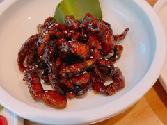 -枣子树·素食餐厅(普陀山店)