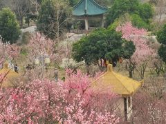 -无锡梅园公园