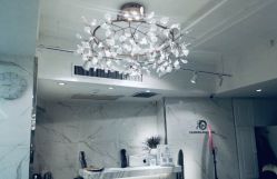 -潘多拉Hairsalon