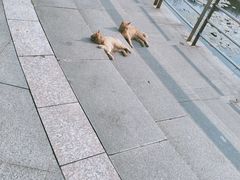 -南京中医药大学(仙林校区)