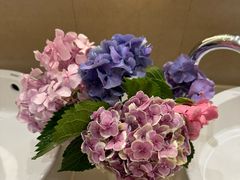 -圆苑(静安寺店)