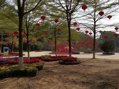 -广东茂名森林公园