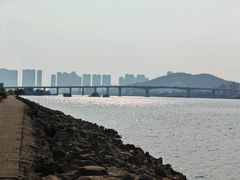 -海鸥岛