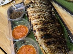 -杨合林啊兰烤鱼